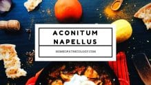 Aconitum Napellus - Monkshood - Homeopathic Remedy Guide 1