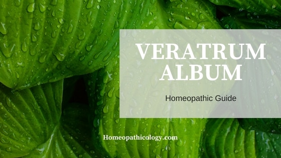 VERATRUM ALBUM | White Hellebore | Homeopathic Remedy Guide