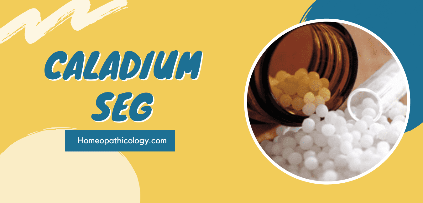 Caladium Seguinum Homeopathic Medicine